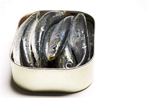 Sardines .